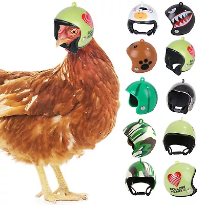 🐷 Chicken Bird Duck Pet Helmet Hard Quail Hat Headgear Cute Supplies Protection • $13.07