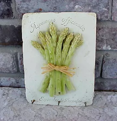 Vintage Asparagus Wall Hanging Hooks Resin Vegetable Kitchen Farmhouse Decor • $10.39