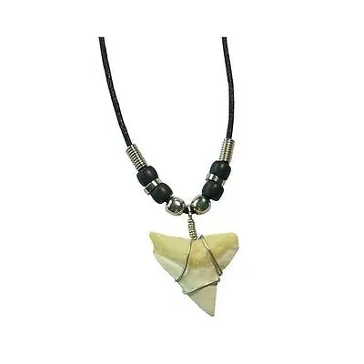 TIGER SHARK TOOTH PENDANT ON BLACK ROPE NECKLACE SILVER BEADS Men Women #447 • $6.95