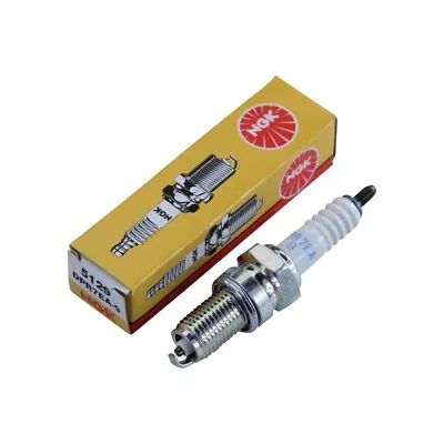 Spark Plug NGK DPR7EA-9 For Kymco KXR 250 Sport L30000 NEW • $4.01