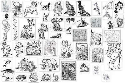 Wildlife Nature Animals Cling Mounted Rubber Stamps My Heart Stamps For You • $6.99