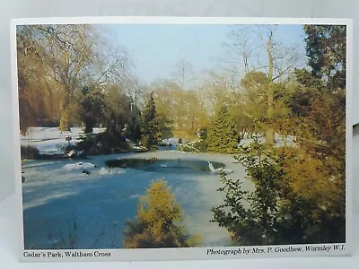 Vintage Postcard Cedars Park Waltham Cross Photo By Mrs P Goodhew Wormley WI • £5.75