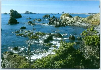 Postcard - Pacific North Coast • $4.95