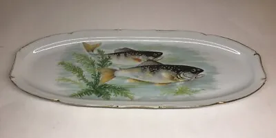 Large And Long Dish Porcelain Of Sologne Decor Fish L 1842.9oz 8 5/16in • $49.62