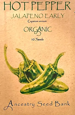 ORGANIC HOT PEPPER ❁ JALAPENO EARLY ❁ 10 Seeds HEIRLOOM ❁ Non GMO • £3.99