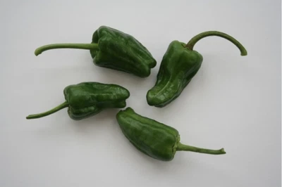 £3.99 • Buy Australian  CHILLI PEPPER  BHUT JOLOKIA - NAGA - AROMATIC AND HOT - 20 SEEDS 
