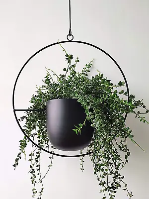 Boho Black Metal Plant HangerMetal Wall And Ceiling Hanging Planter Modern Pla • $42.76