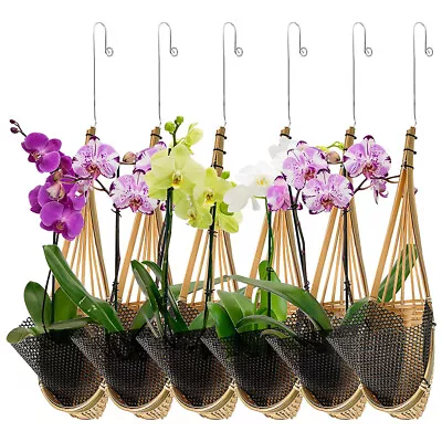 $13.41 • Buy Hanging Woven Basket Orchid Planter Frame W/ Hook Plant Flower Pot Garden Decor