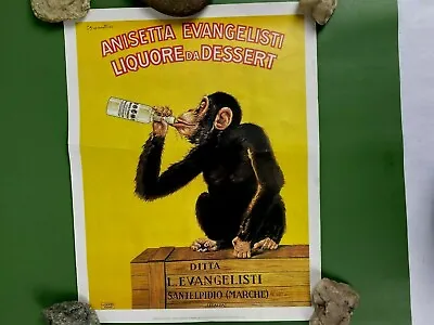 Poster Anisetta Evangelisti C Biscaretti Liquore Drinking Monkey 14  X 11  VTG • $26.95