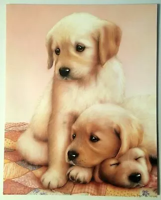 Golden Retriever Poster Print 3 Puppies Lithograph Impact #8519 Wall Art 1989 • $11.99