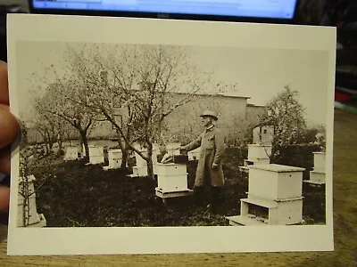 N5 NEW HAMPSHIRE Old Postcard Canterbury Shaker Village Elder Blinn Bee Gardens • $19.99