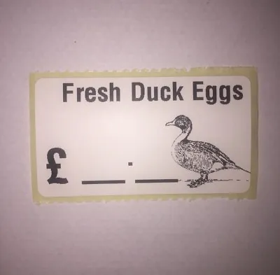 100 X Fresh Duck Eggs Box Stickers Labels  • £2.49