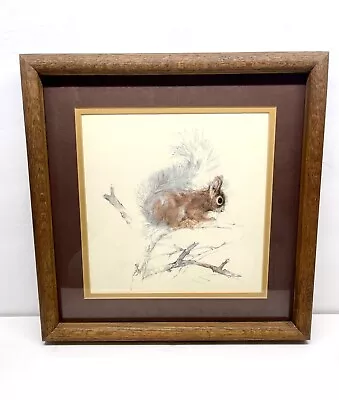 Mads Stage Watercolor Squirrel 1970’s Signed Print Matte Framed 13”x13” Danish • $100