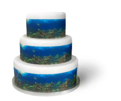 A4 Edible Decor Icing Sheet Underwater Sea Coral Tropical Fish Ribbon Border • £3.49