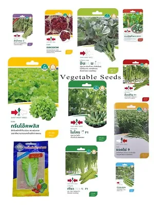 Ready-to-plant Vegetable Seeds Form Thailand Free International Shipping • $8.99