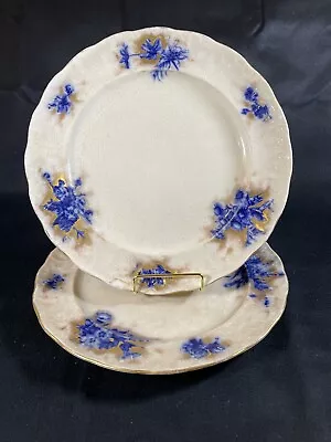 Antique Rare Set 2 Flow Blue Sampson Bridgwood & Son  10.5  Dinner Plates • £33.75