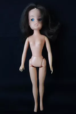 PEDIGREE SINDY DOLL - 033055X And  SINDY On Neck  -  1970's Made In Hong Kong • $45