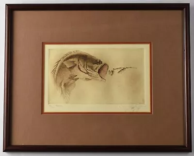 Vintage Sandy Scott Framed Etching - Largemouth Bass Fish • $149.95