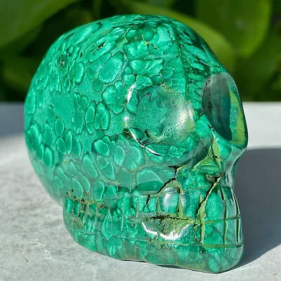 323G Natural Malachite Quartz Skull Hand Carved Crystal Skull Reiki Healing • $0.99