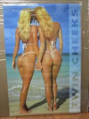 Twin Cheeks Sam Maxwell 1997 Girls Original Hot Girl Poster 15463 • $39.97