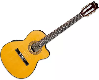 Ibanez GA5TCE Thinline Classical Acoustic-Electric Guitar • $249.99