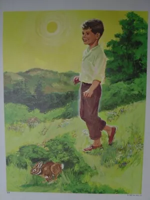 Boy & Rabbit In Country Morning - David C. Cook Co 1967 Creation Series • $6.68