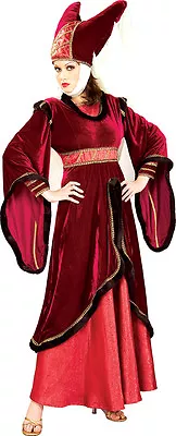 Medieval Renaissance Maid Marion Costume 2 Pc Burg Velour & Satin Dress & Hat • $129.98