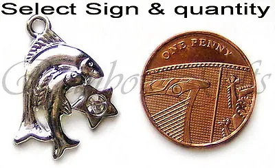 SILVER ZODIAC CHARM WITH GEM SELECT ZODIAC SIGN & QTY  5 10 Or 20 LIMITED STOCK • £2.40