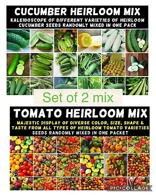 TOMATO & CUCUMBER 'Heirloom Mix' 100 Seeds ALL TYPES MIXED Vegetable Garden • $5.67