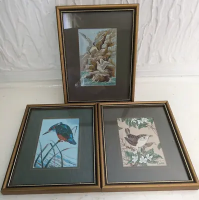 J & J Cash's Vintage Framed Silk Woven Pictures Birds X 3 Kingfisher Wren Tern • £25