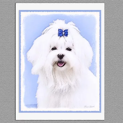 6 Maltese Dog Blank Art Note Greeting Cards • $13.99