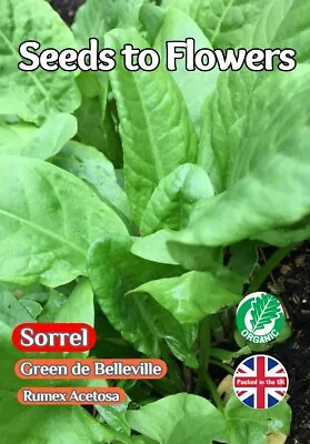 £1.49 • Buy Garden Sorrel Rumex Acetosa Green De Belleville - Perennial - 1200 Organic Seeds