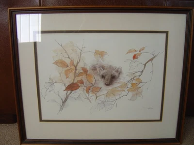 £35.50 • Buy Mads Stage Pair Of 2 Signed Framed Prints Pine Marten & Stoat Danish Artist 