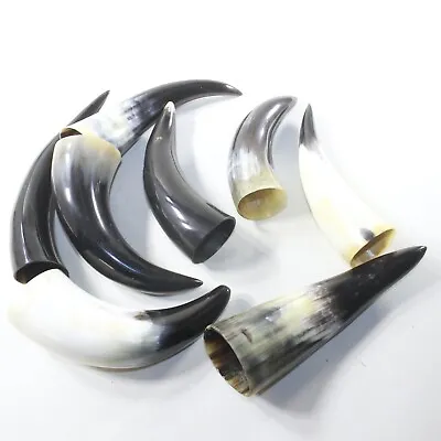 8 Small Polished Cow Horns #3133 Natural Colored • $99.99