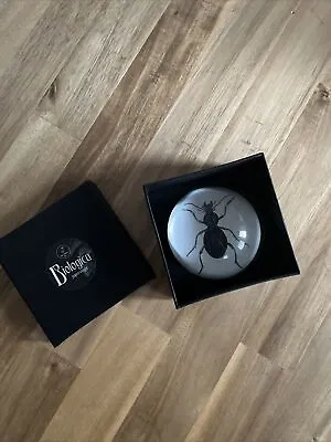 Biologica Crystal Glass Insect Beetle Paperweight New In Box • £9