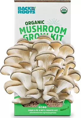 Organic Mushroom Growing Kit. DIY Indoor Organic Oyster Mushroom Farm. Grow Edib • $22.56