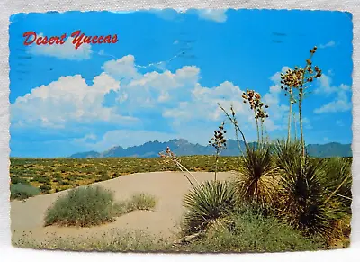 New Mexico Organ Mountains Near Las Cruces • $3