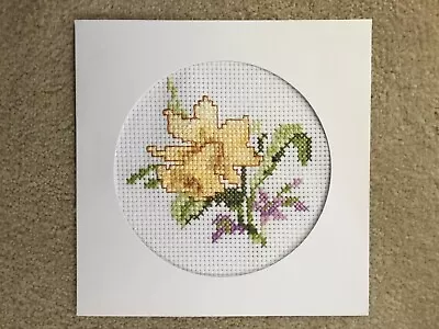 COMPLETED CROSS STITCH CARD DAFFODIL  BIRTHDAY CARD  -6” X6” Square • £3.60