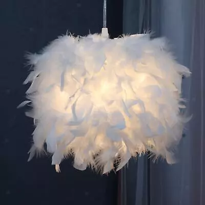 Pendant Light Cover Feather Lamp Shade  Living Room Bedroom • £13.25