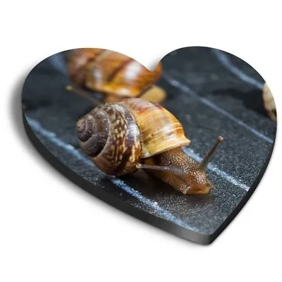 Heart MDF Magnets - Racing Snails Race Ny Insect Snail #24221 • £4.99