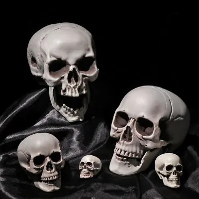 Decoration Terrible Halloween Props Skull Head Hanging Decor Human Skeleton • £4.08