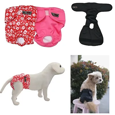 Female Small Pet Dog Puppy Hygiene Diapers Pant Washable Reusable Nappy Pants • £5.88
