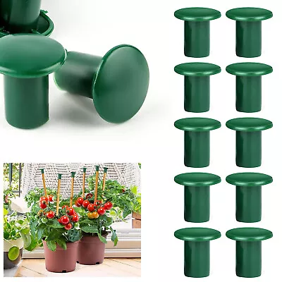 12X Garden Cane Caps Bamboo Safety Topper Protectors Stick Eye Protector Caps~ • £5.69