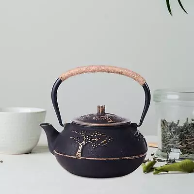 Cast Iron Teapot Heat Saving With Stainless Steel Infuser For Kitchen Induction • $79.63