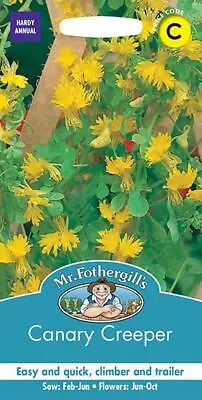 Canary Creeper Seeds 25 Fresh Seeds    Canary Seeds    Flower Seeds • £2.15