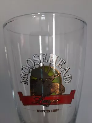 *Verre à Bière*🦌MOOSEHEAD🦌 0.2L • $6.92