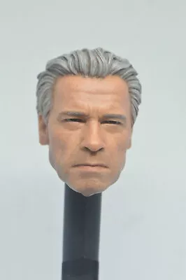 £27.59 • Buy 1/6 Arnold Schwarzenegger Head Sculpt OLD Terminator T800 For M34 Action Figure 