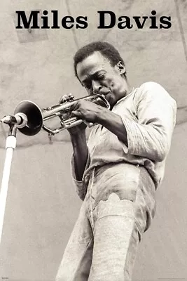 Miles Davis ~ 1970 Central Park NYC ~ 24 X 36  Lithographic Poster • $8.99