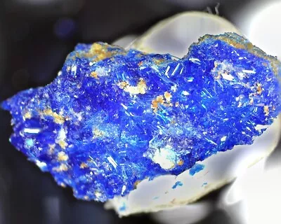 11451 Linarite |Blue Bell Mine Silver Lake Min. Dis| • $25