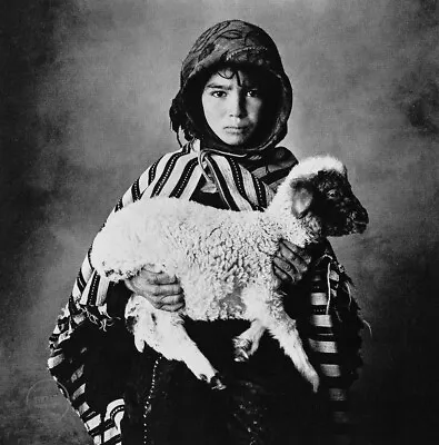 1971 Vintage Irving Penn Child With Lamb Morocco Engraving Art 11x13 • $79.82